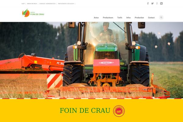 Florida theme site design template sample