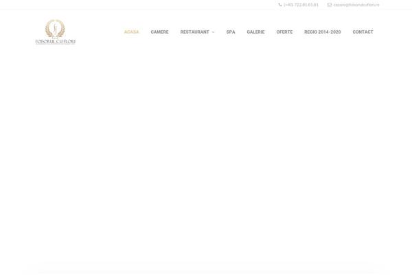 Site using Jetpack-boost plugin