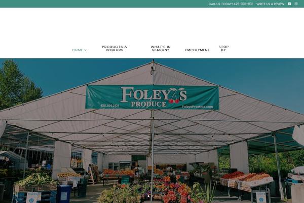 Divi Child theme site design template sample