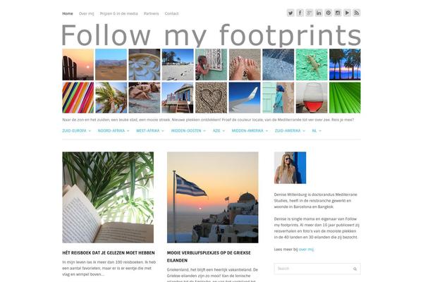 Apollo theme site design template sample