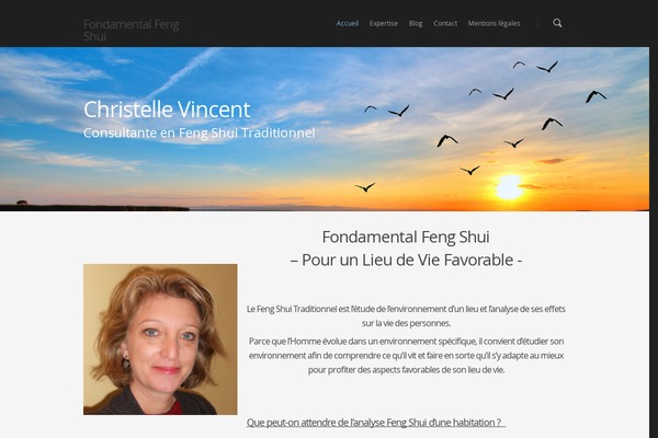 Salient theme site design template sample