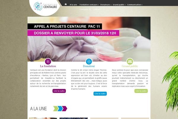 Orion theme site design template sample