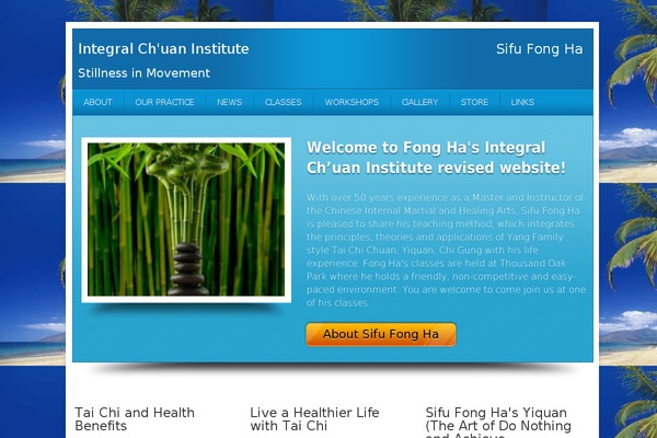 Local Business theme site design template sample