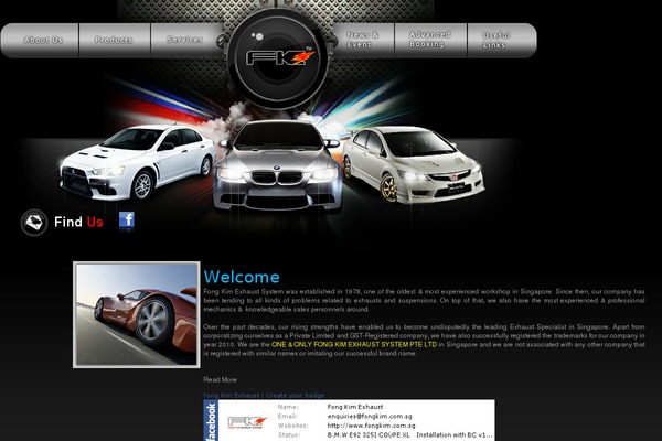 Site using Wd-facebook-feed plugin