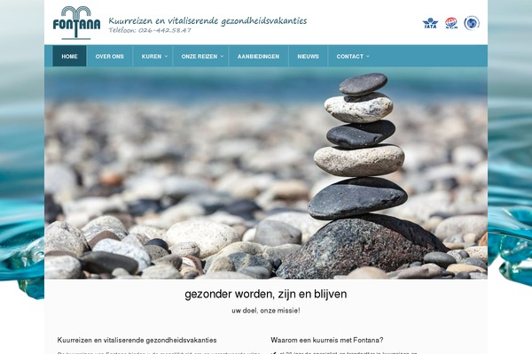 Pinpoint theme site design template sample