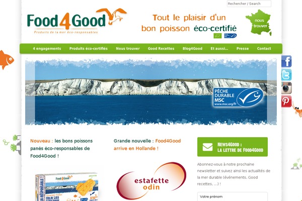 Vanguard theme site design template sample