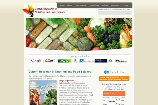 Unite theme site design template sample