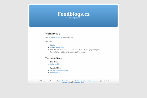 Home theme site design template sample