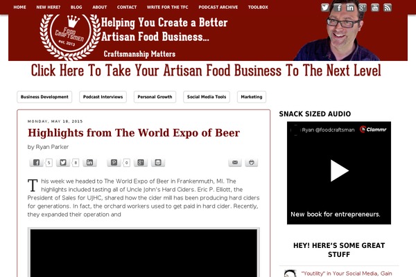Site using Fancier Author Box by ThematoSoup plugin