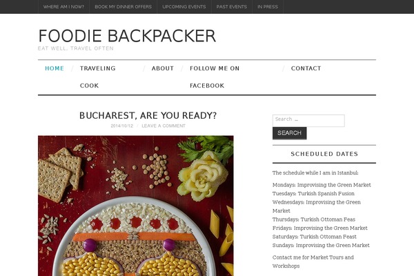Fashionista theme site design template sample
