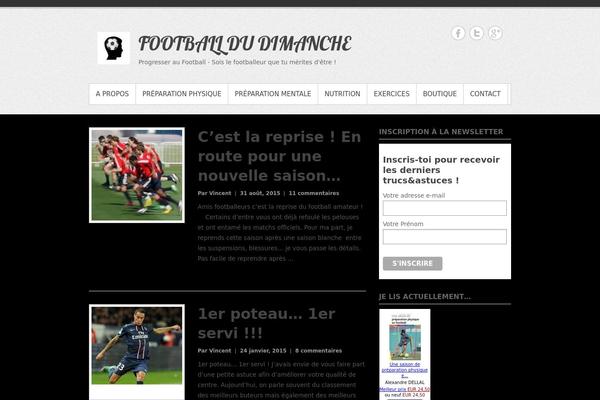 Simple Catch theme site design template sample