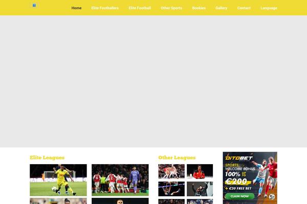 Sport theme site design template sample