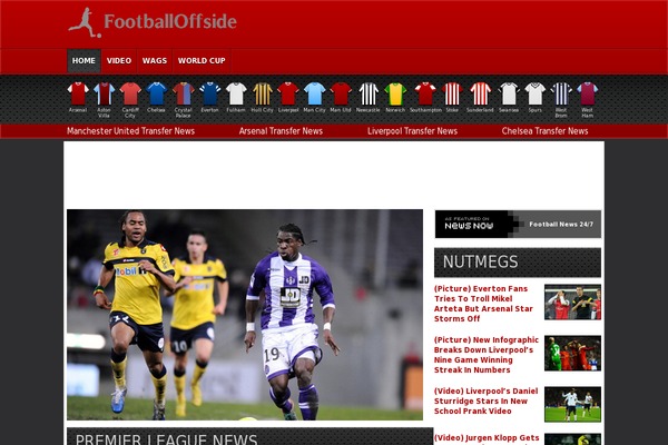 cos theme websites examples