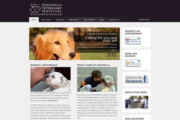 Coda theme site design template sample