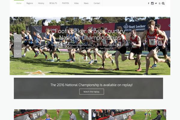 Falco theme site design template sample