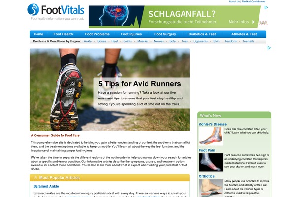 fah theme websites examples