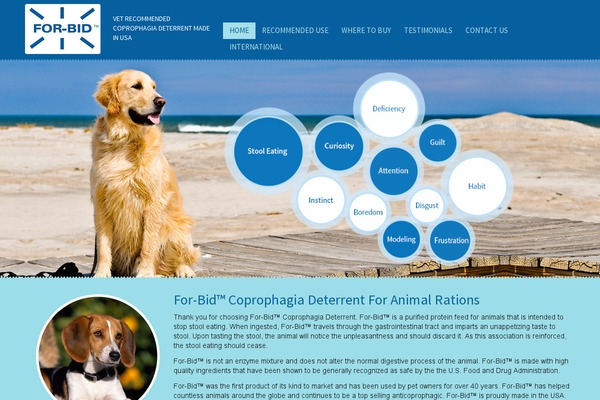 forbid theme websites examples