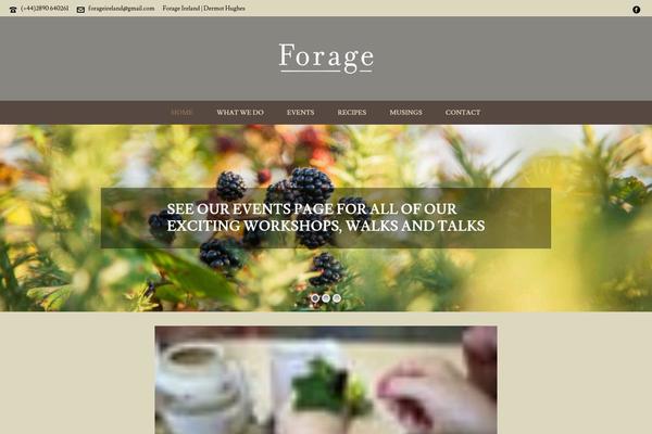 Site using Masterslider plugin