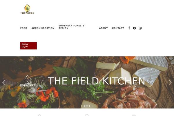 Vigor theme site design template sample