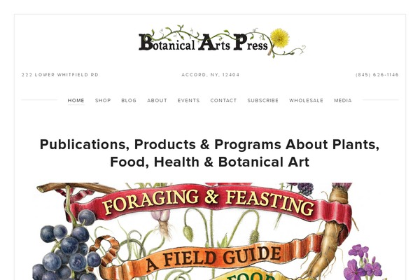 PageLines theme site design template sample