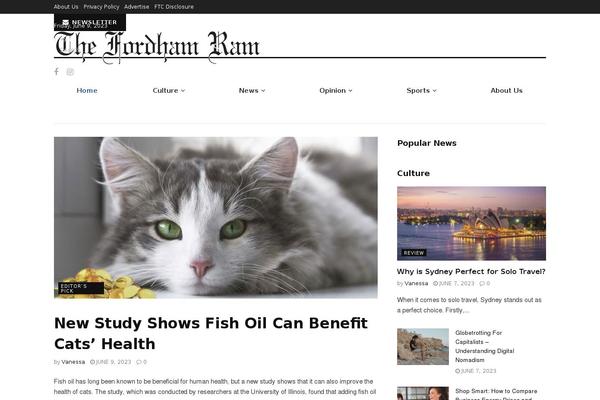 Jnews-child theme site design template sample