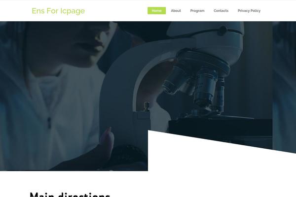 Startit theme site design template sample