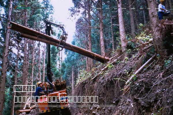 forest100.jp site used Theme53592