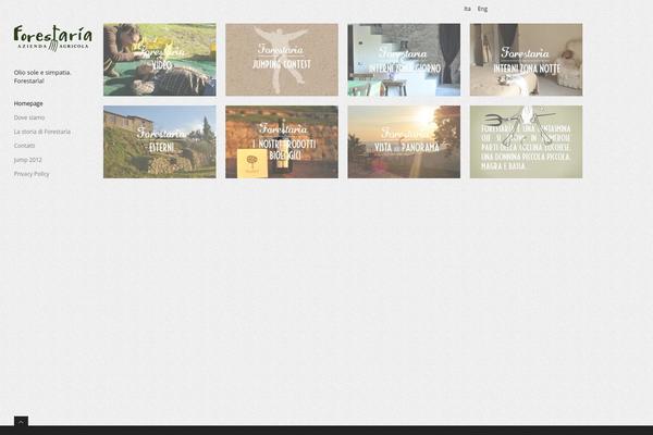 Bookcase theme site design template sample
