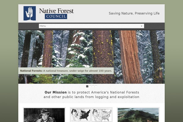 Risen theme site design template sample
