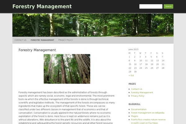 RCG Forest theme site design template sample