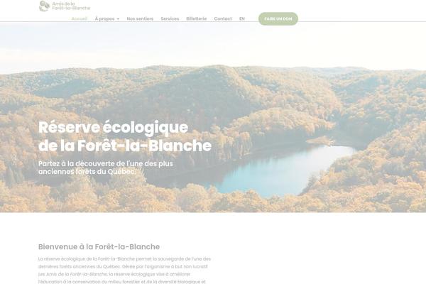 Site using Widgets on Pages plugin