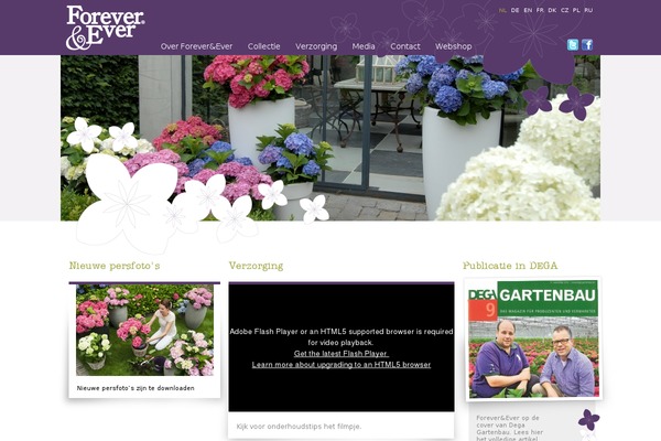 Infinite-child theme site design template sample