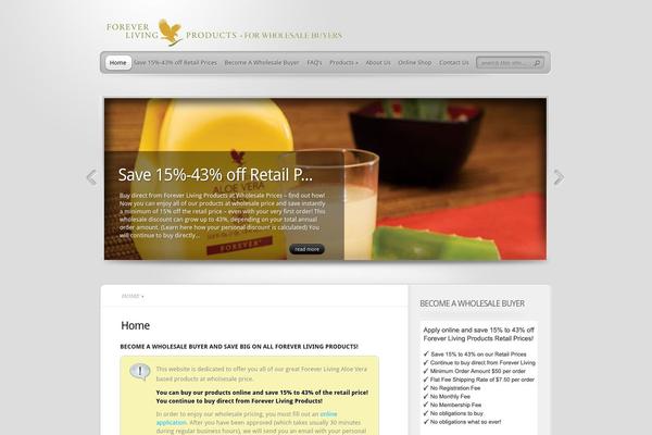 TheProfessional theme site design template sample