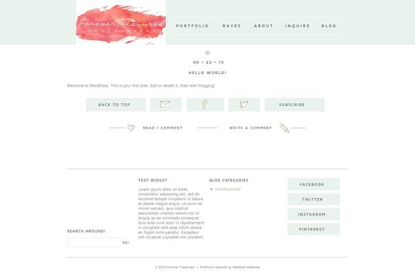 ProPhoto 5 theme site design template sample