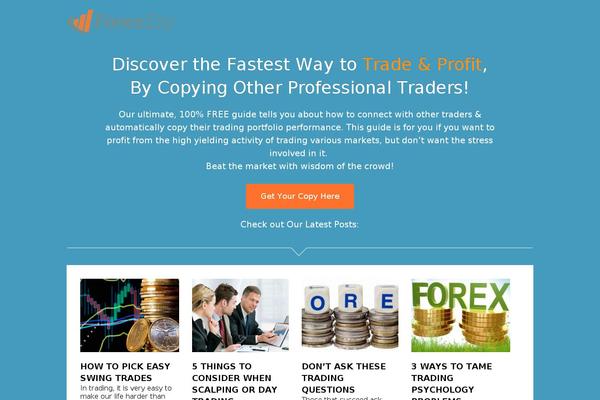Focusblog theme site design template sample