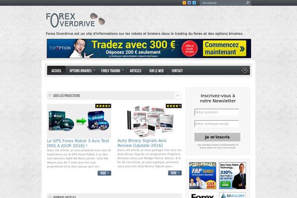 Hiero theme site design template sample