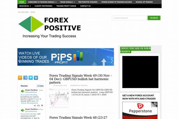 Newszeplin theme site design template sample