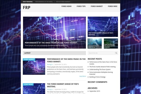 Point theme site design template sample