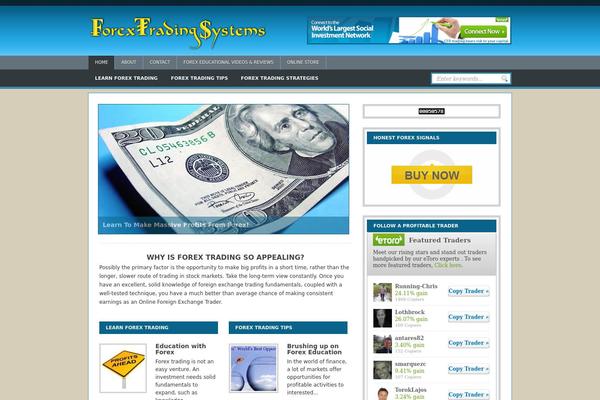 blogsbizwd theme websites examples