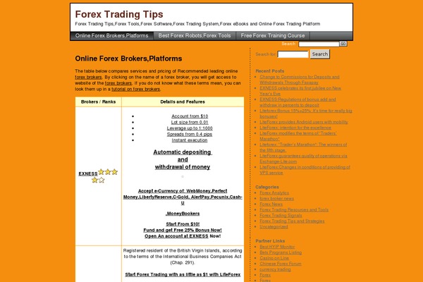 SEO Basics theme site design template sample