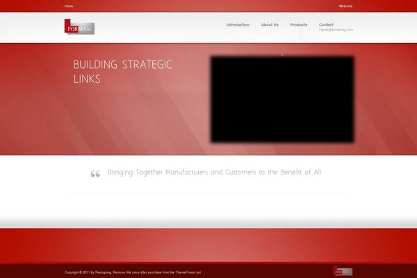 Accent theme site design template sample