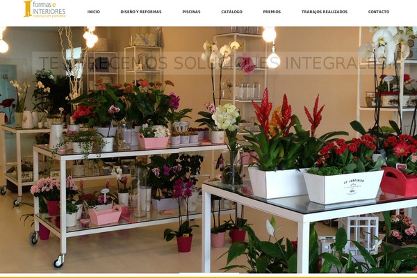Pioneer theme site design template sample