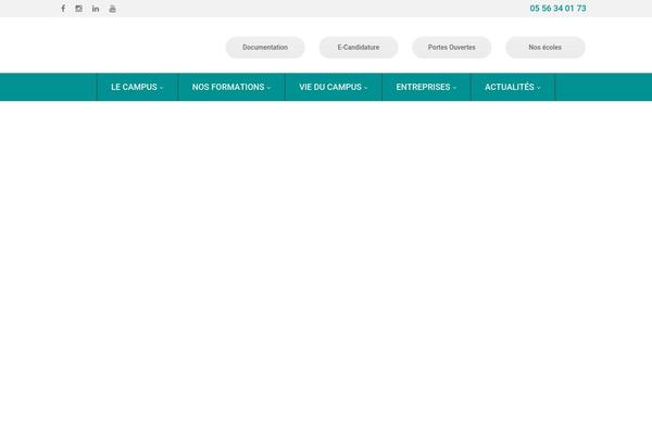 Site using NKS-custom plugin