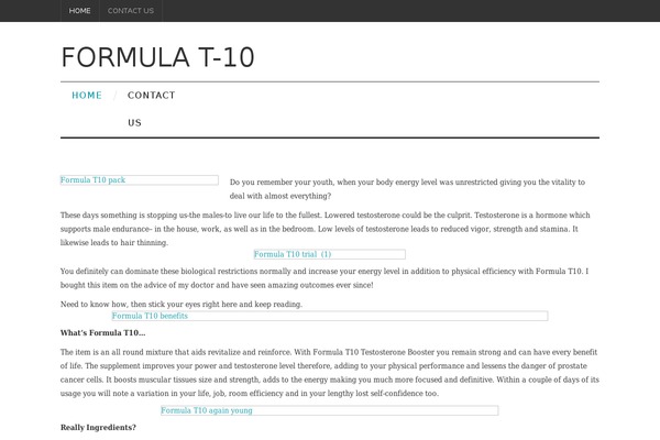 Fashionistas theme site design template sample