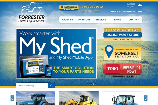 framework-client theme websites examples