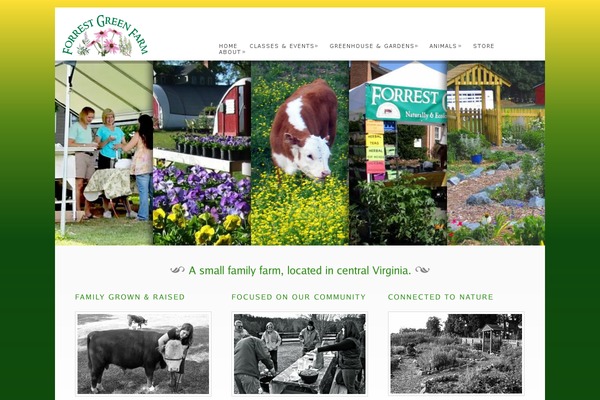 Dandelion v.2.6.7 theme site design template sample