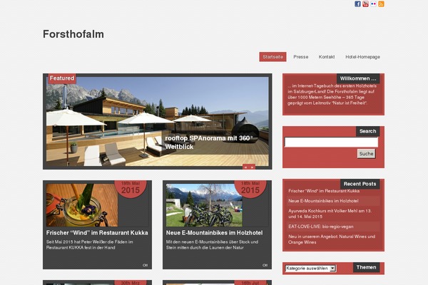 Scylla lite theme site design template sample