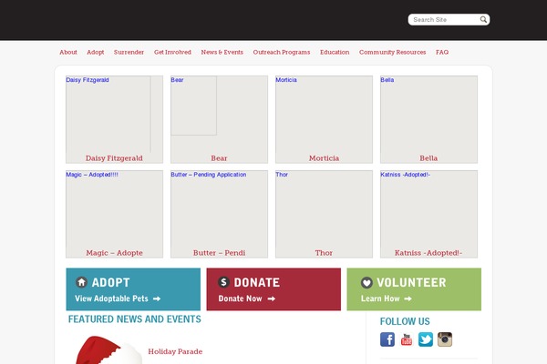 Education Pro theme site design template sample