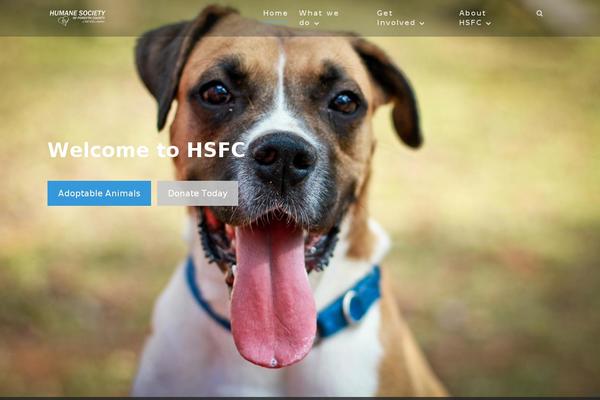 Athena theme site design template sample