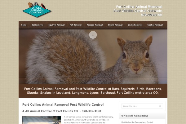 Akita theme site design template sample